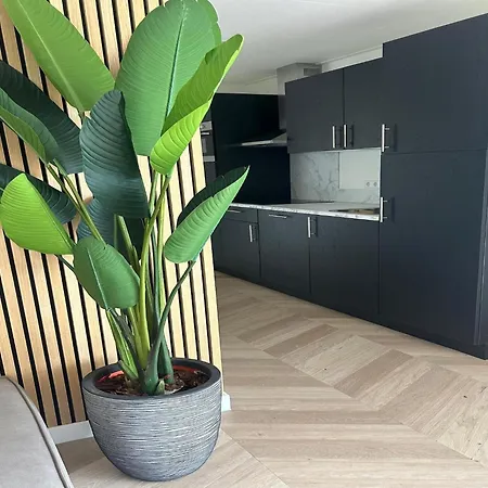 Feriehus Woodland Escape By Palette Resort De-Steppe Ulicoten