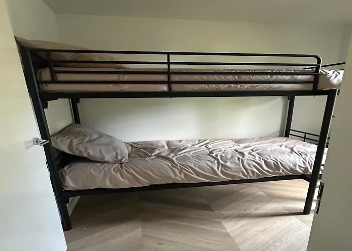 Forest Retreat Near Baarle-nassau *