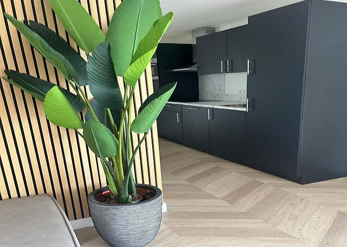 Vakantiehuis Forest Retreat Near Baarle-nassau Ulicoten