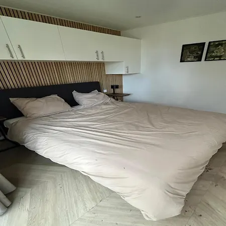 Forest Retreat Near Baarle-nassau